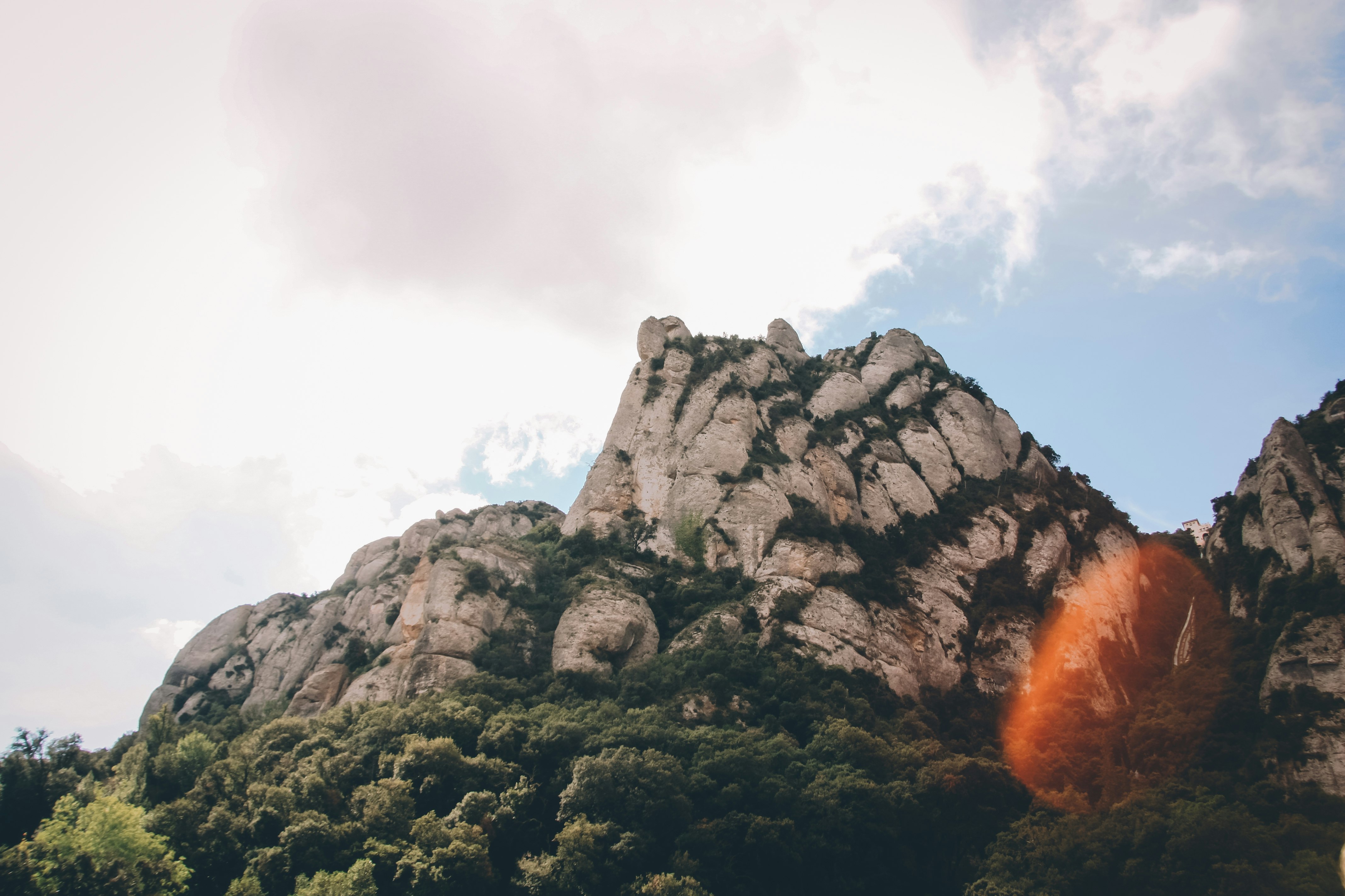 rock formation in forest